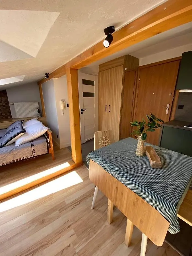 Apartment Apartamenty Pod Skosami Zakopane